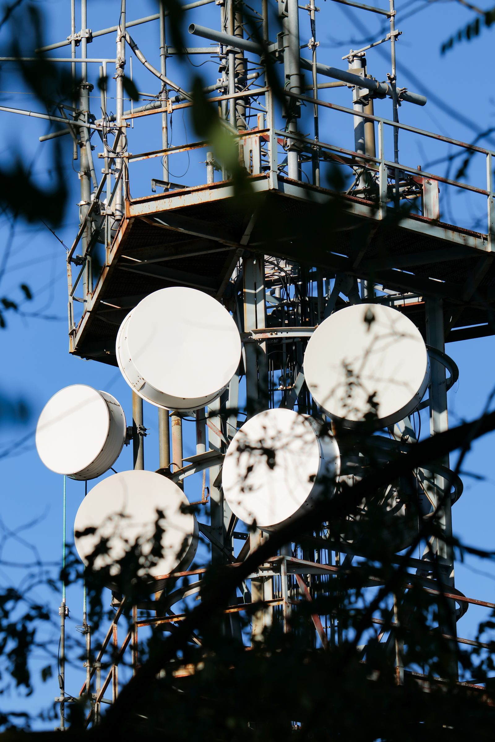 Point-to-point microwave dishes on a mast